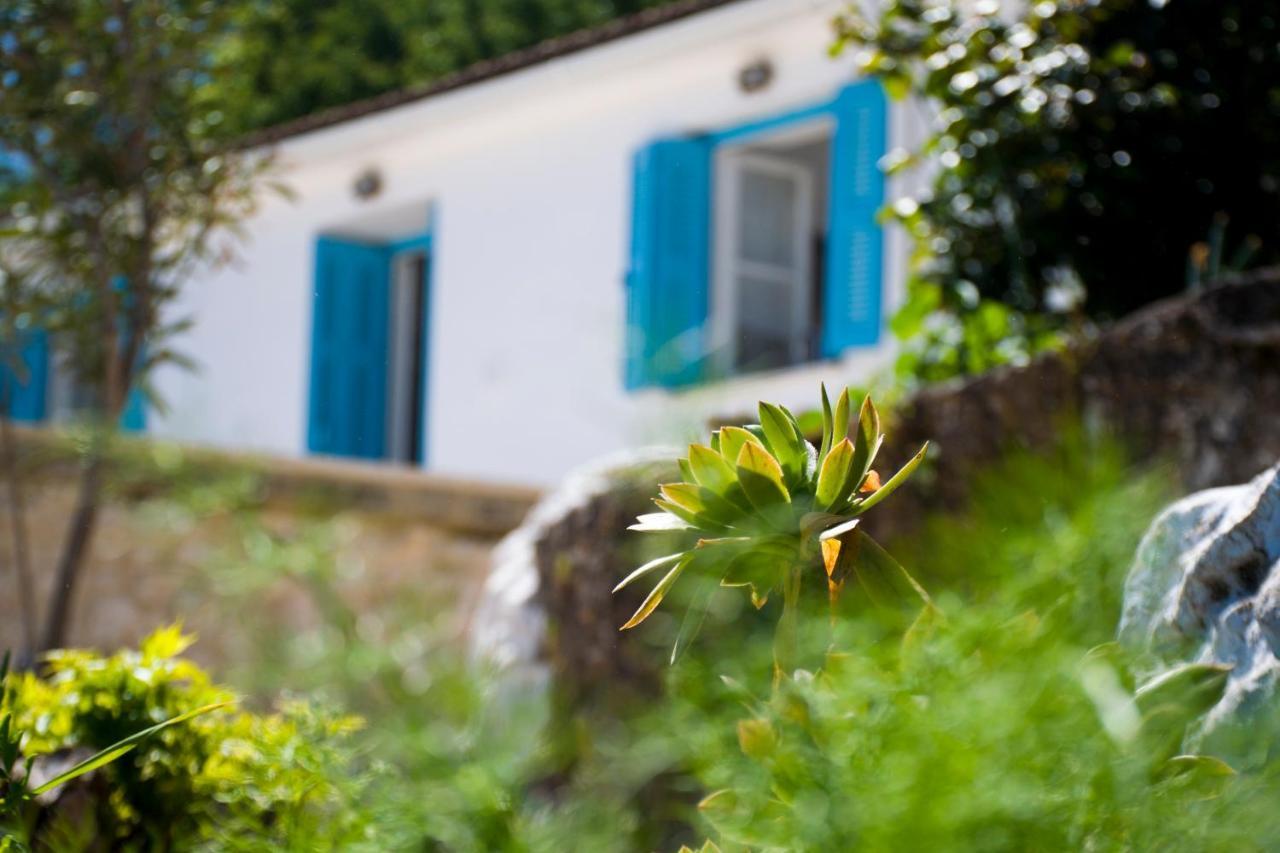 The Olive Cottage - Ithaca Ваті Екстер'єр фото